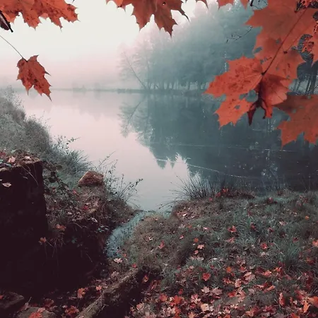 Sous Le Marronnier Jusqu'à 10 Personnes Hadol