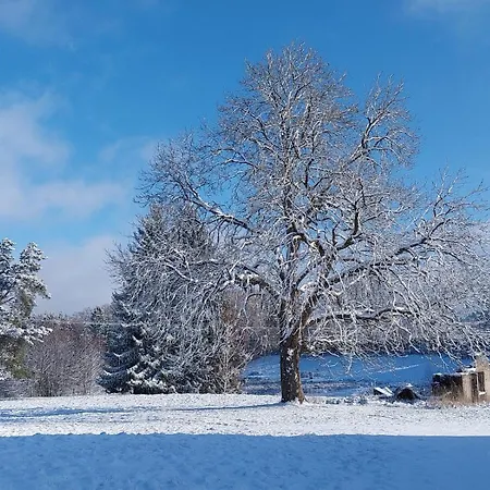 Sous Le Marronnier Jusqu'à 10 Personnes * Hadol