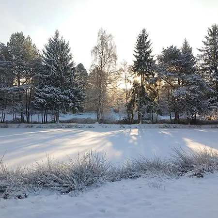 Sous Le Marronnier Jusqu'à 10 Personnes *