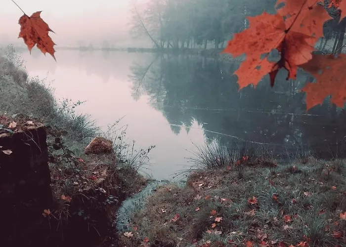 Sous Le Marronnier Jusqu'a 10 Personnes Hadol